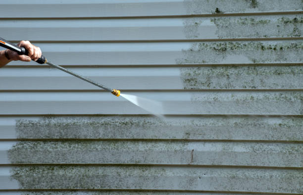Best Roof Washing  in Anna, IL